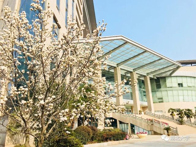 诸侯快讯入口官网校长谢红星在学生班会上的特别寄语：热爱生活，珍爱生命